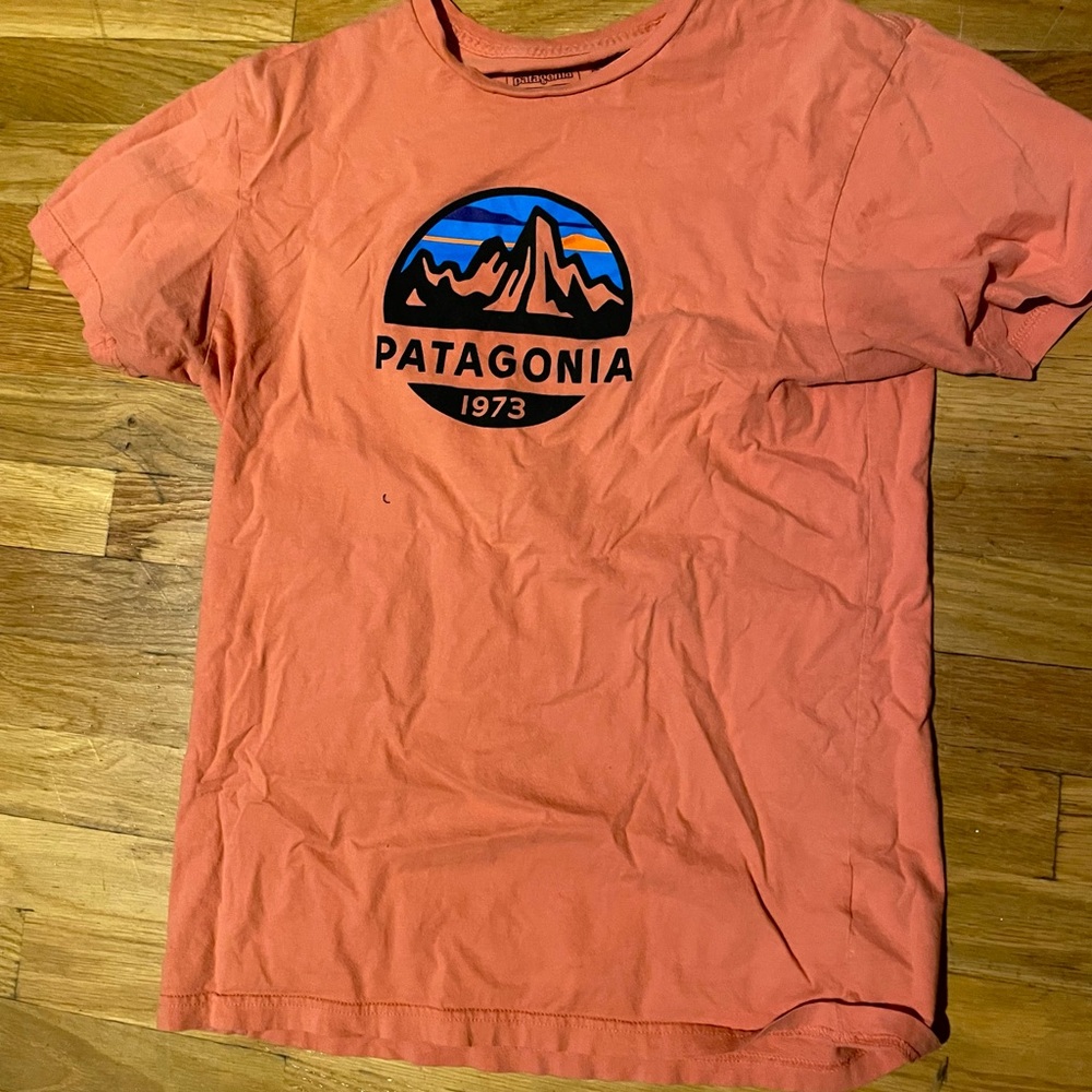 Patagonia - size: small - men’s graphic T-shirt